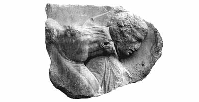 Афины: Голова всадника и лошади