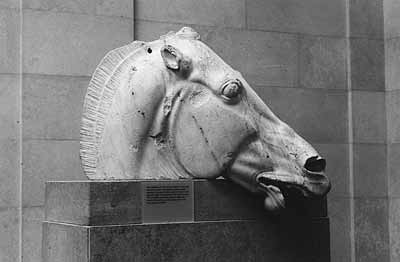 Британский Музей. Восточный фронтон, голова лошади